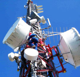 Telecoms Services
